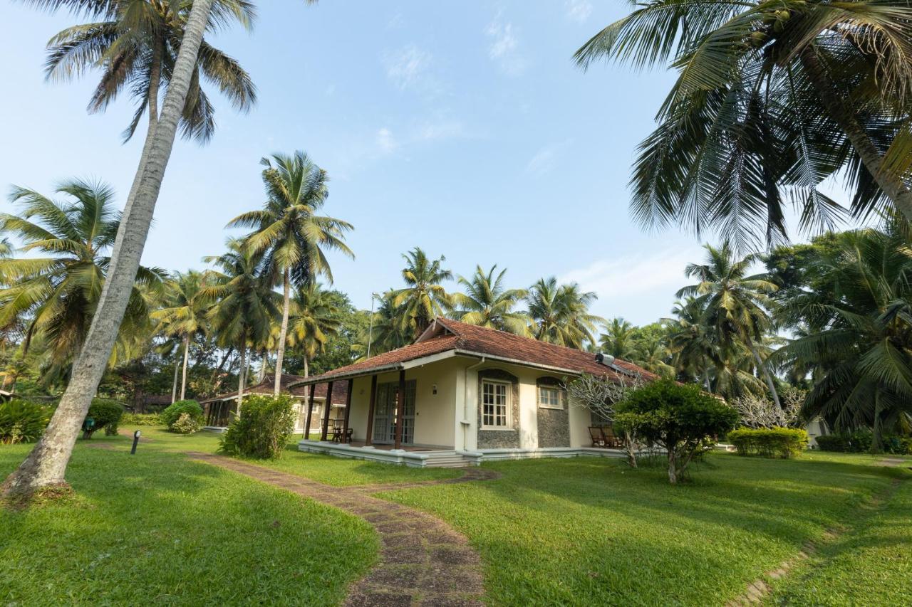 Tamarind Tree Garden Resort - Katunayake Negombo Exteriör bild
