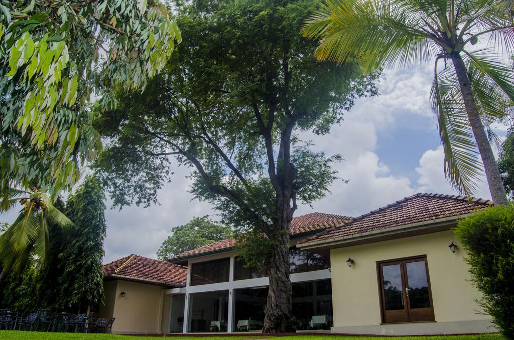 Tamarind Tree Garden Resort - Katunayake Negombo Exteriör bild